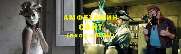 индика Зеленодольск