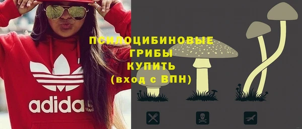 индика Зеленодольск