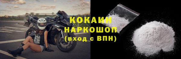 индика Зеленодольск