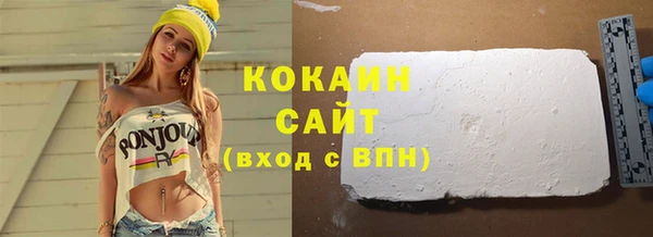 индика Зеленодольск