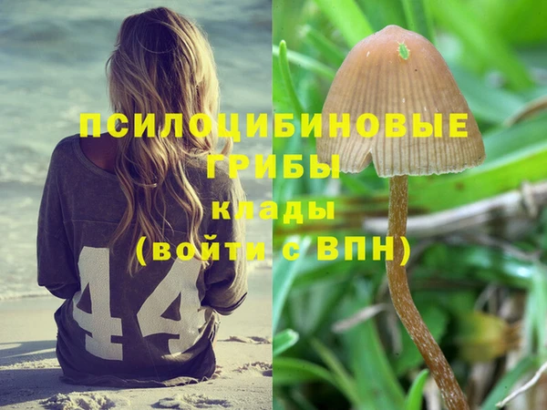 мяу мяу кристалл Инсар
