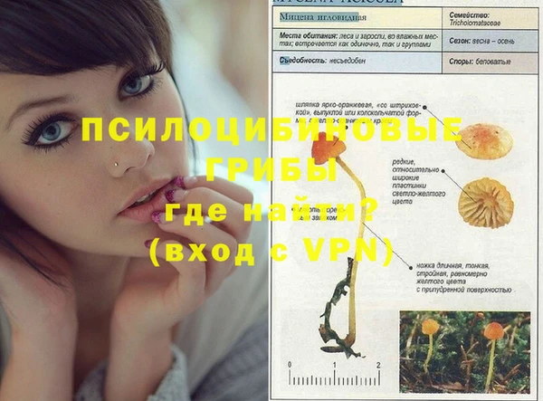 первитин Заволжье