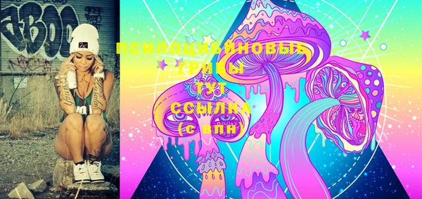 индика Зеленодольск