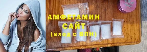 индика Зеленодольск