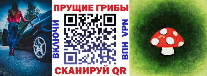 где продают   Рошаль  Псилоцибиновые грибы Cubensis 